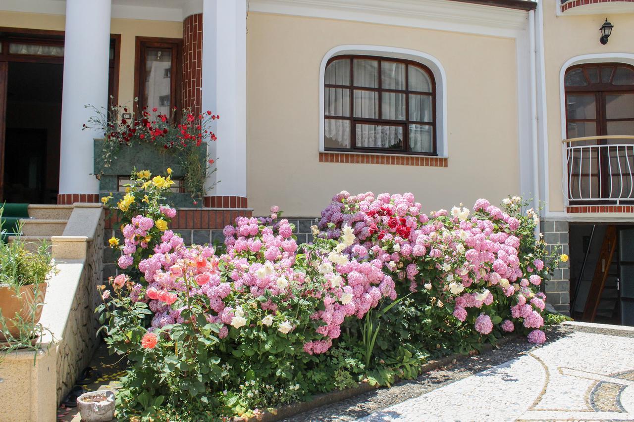 Vila Topciu Pogradec Extérieur photo